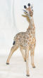 Picture of Giraffe